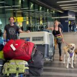 Travelers with dogs and luggage at airport terminal.