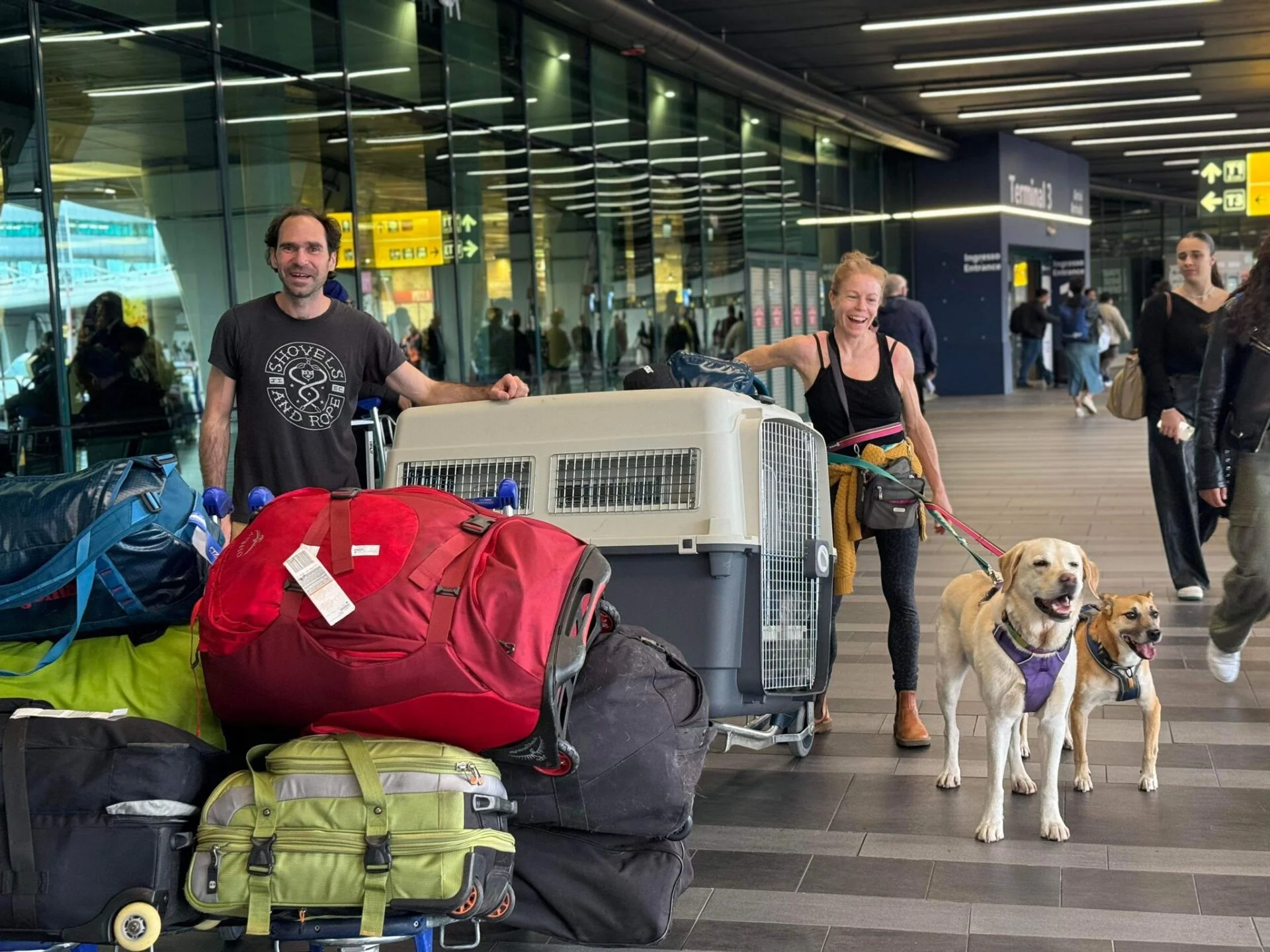 Travelers with dogs and luggage at airport terminal.